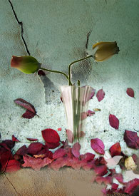 ��GL����������