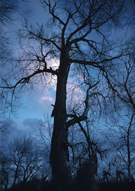 �����Լ���Ҳ�����