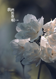 ����Ҫ�������